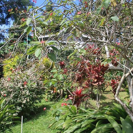 Gingerbread Cottage And Studio Fiji Savusavu Dış mekan fotoğraf