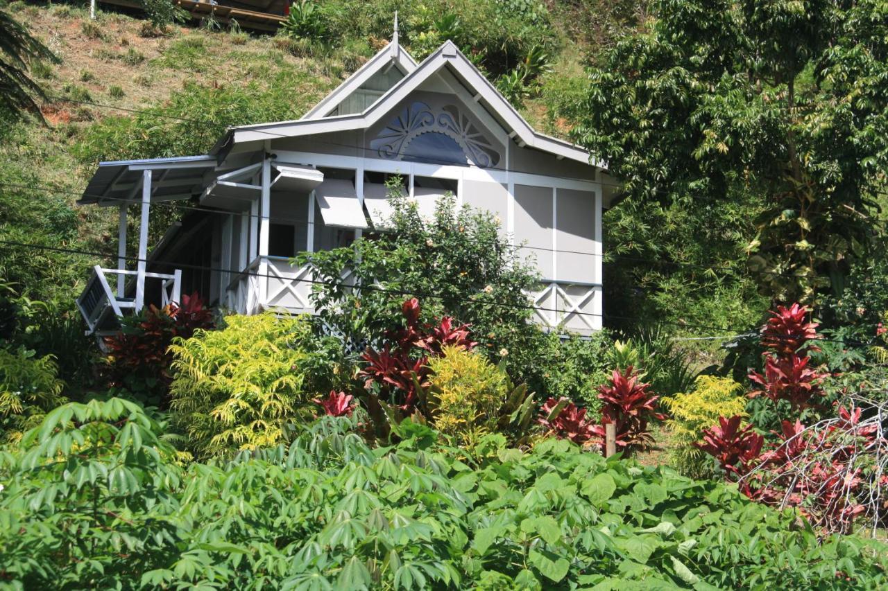 Gingerbread Cottage And Studio Fiji Savusavu Dış mekan fotoğraf