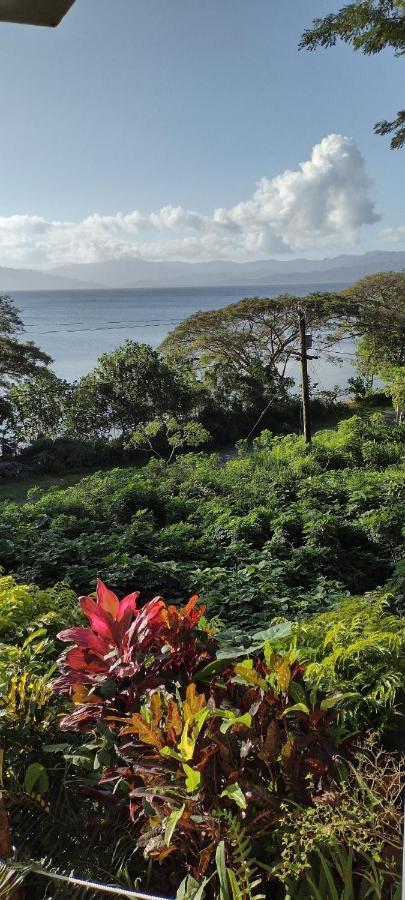 Gingerbread Cottage And Studio Fiji Savusavu Dış mekan fotoğraf