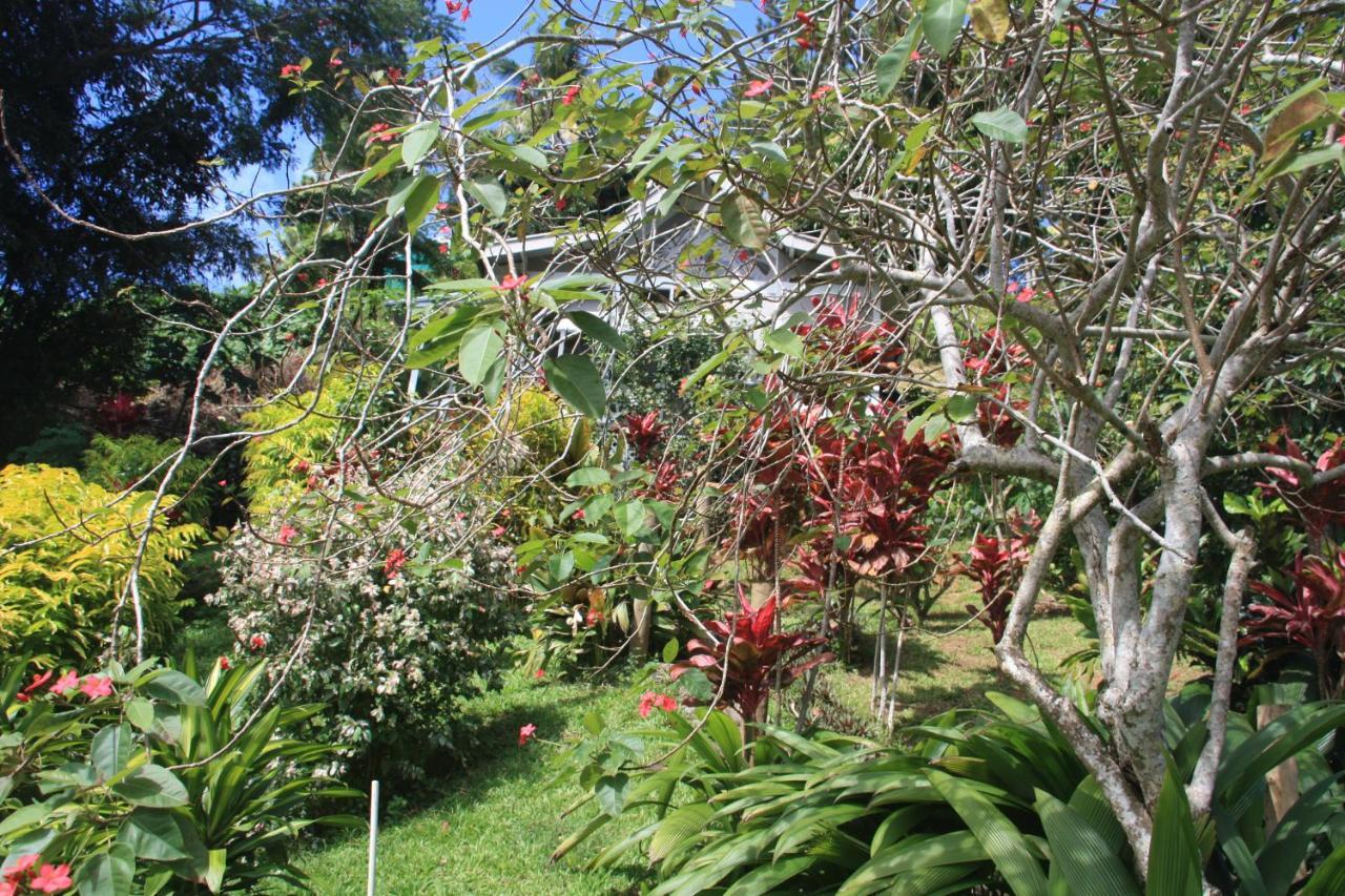 Gingerbread Cottage And Studio Fiji Savusavu Dış mekan fotoğraf